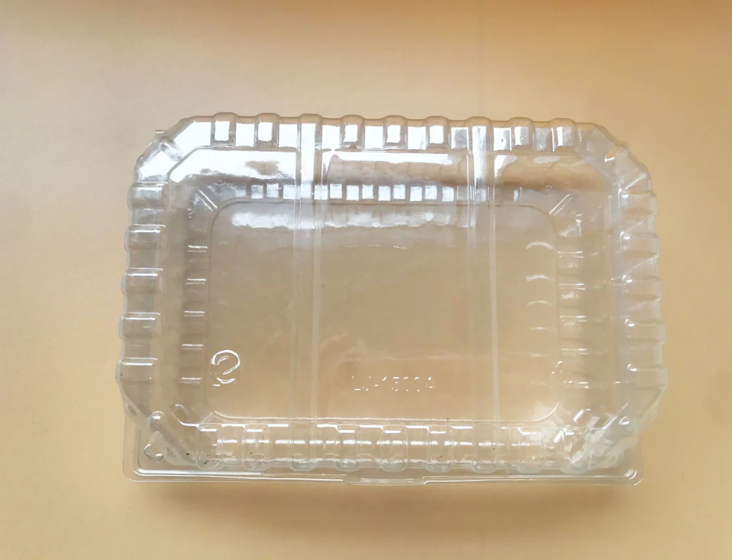 Transparent 500ml/75ml/1000ml Plastic Blister PET Food Tray Clamshell Packaging Supermarket